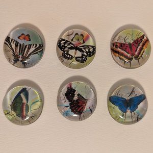 Six Butterfly Print Round Glass Magnets